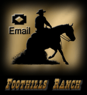 Email Foothills Ranch